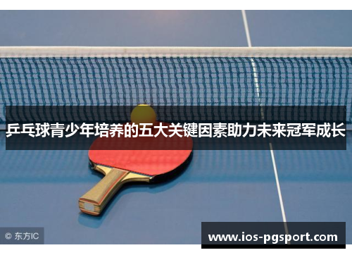 乒乓球青少年培养的五大关键因素助力未来冠军成长