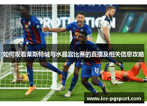 如何观看莱斯特城与水晶宫比赛的直播及相关信息攻略