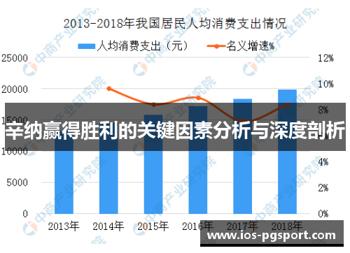 辛纳赢得胜利的关键因素分析与深度剖析